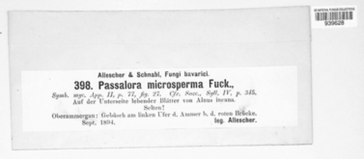 Passalora microsperma image
